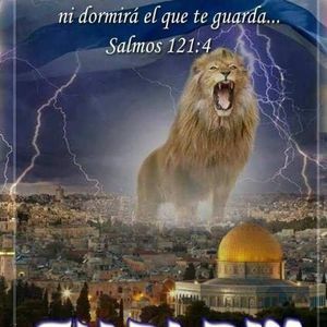 Meet your Posher, Silvia